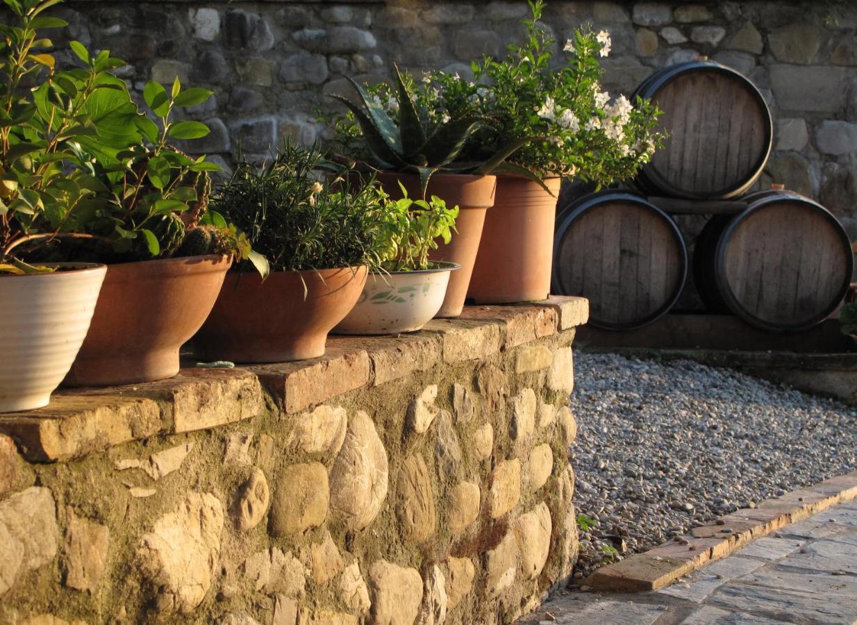 Agriturismo & Winery Il Bacio Tavarnelle Val di Pesa Exterior photo